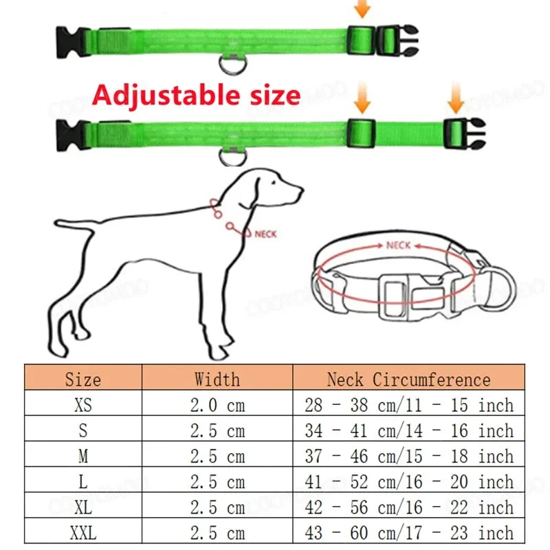 Nylon Luminous LED Dog Collar