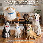 Smart Pet Door - Your Pet’s VIP Pass. Your Home’s New Guard.