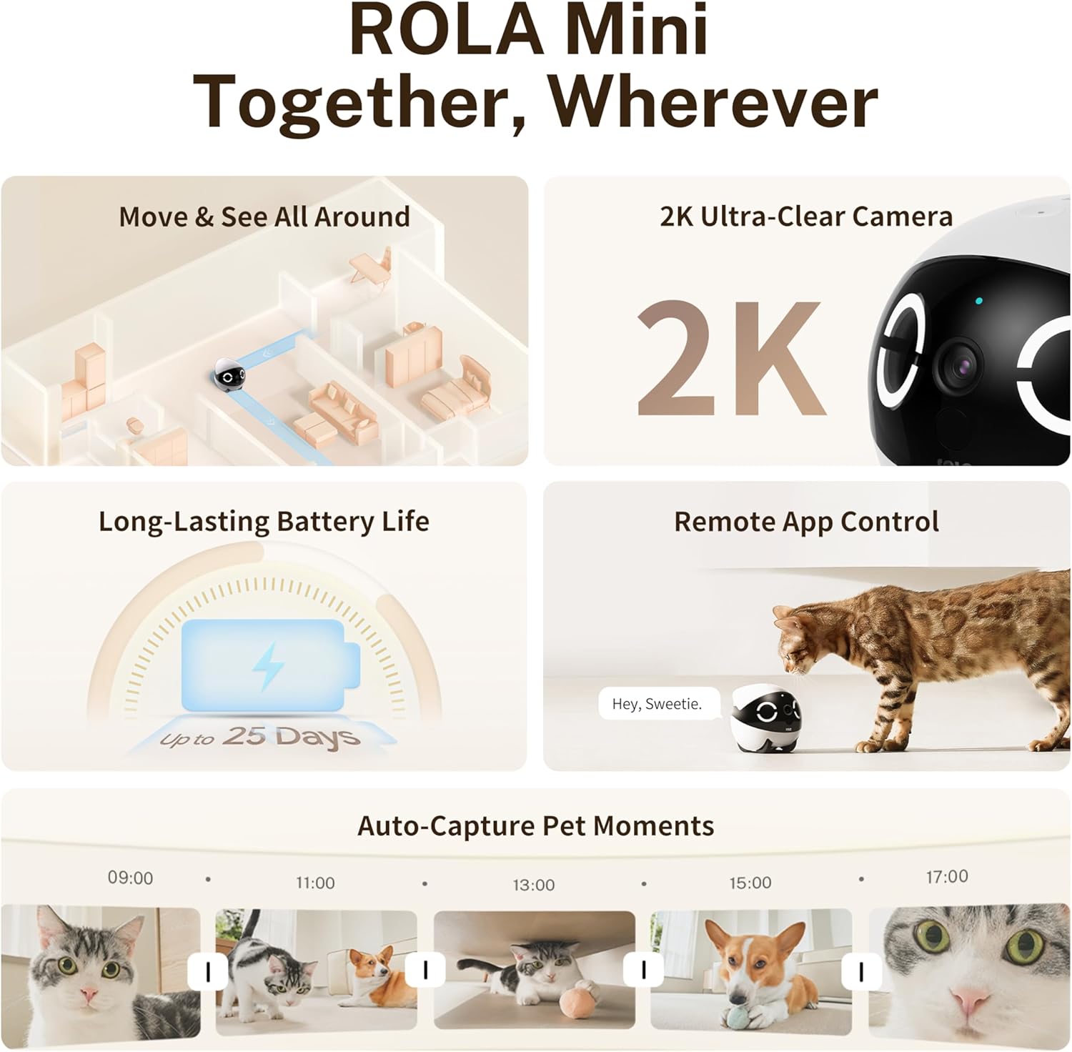 EBO ROLA Mini - Your Family, Connected. Your Pets, Never Alone.