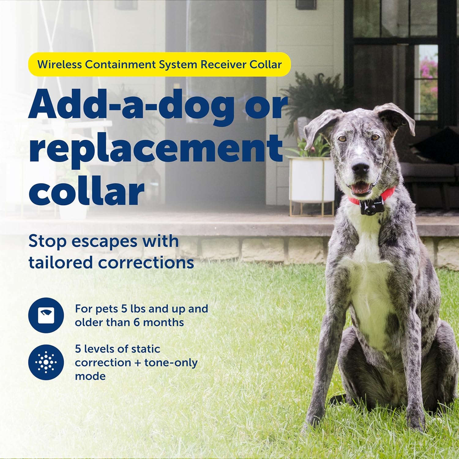 PetSafe Wireless Receiver Collar - Boundary Freedom. Total Peace of Mind.