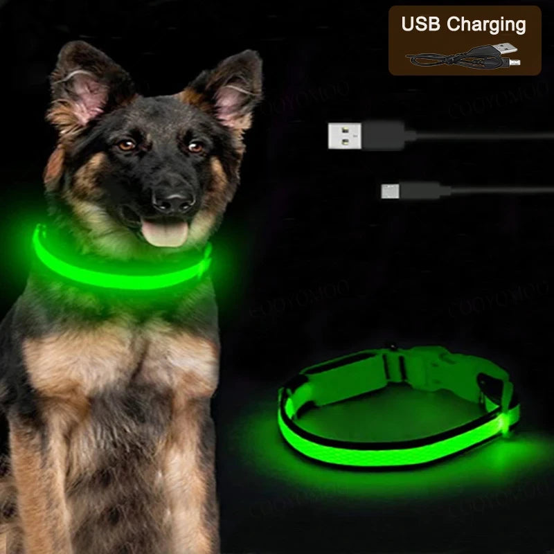 Nylon Luminous LED Dog Collar