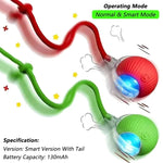 Interactive Automatic Rolling Cat Ball Toy