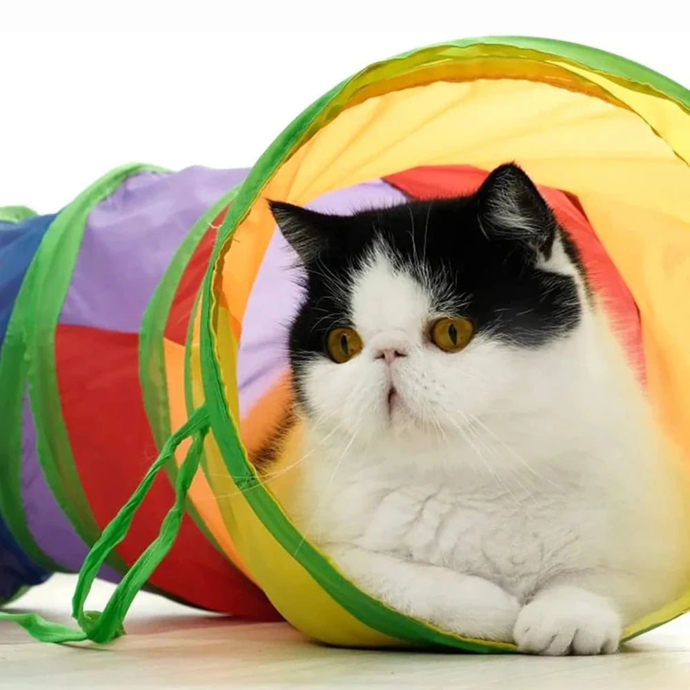 Collapsible Rainbow Cat Tunnel Toy