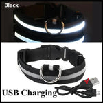 Nylon Luminous LED Dog Collar