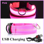 Nylon Luminous LED Dog Collar