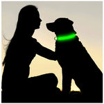 Nylon Luminous LED Dog Collar