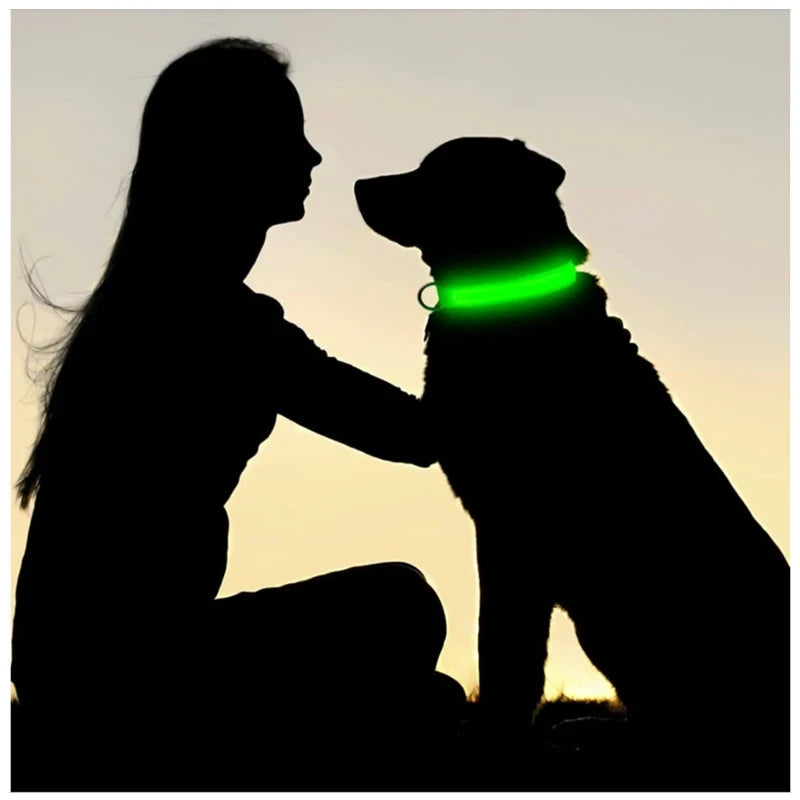 Nylon Luminous LED Dog Collar