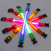 Nylon Luminous LED Dog Collar