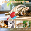 Interactive Automatic Rolling Cat Ball Toy