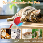 Interactive Automatic Rolling Cat Ball Toy