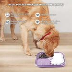 Silicone Slow Feeder Pet Licking Mat