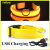 Nylon Luminous LED Dog Collar