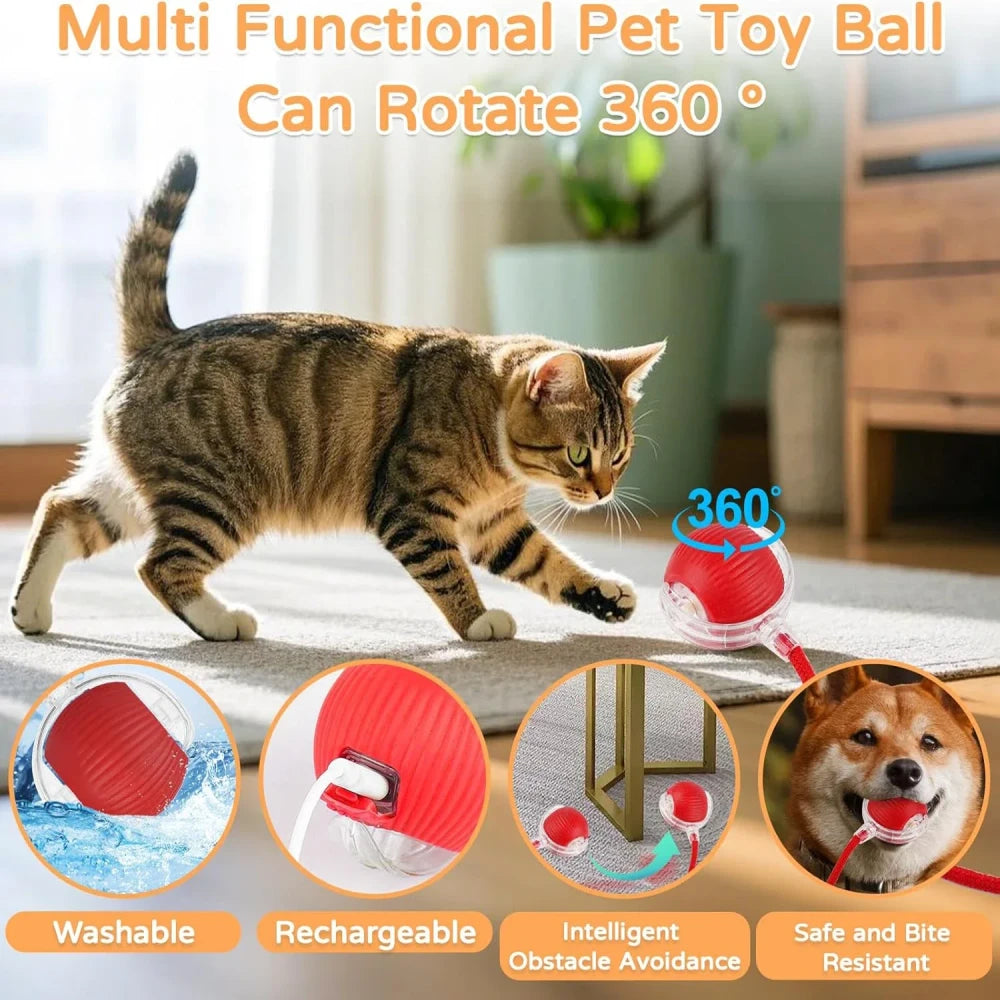 Interactive Automatic Rolling Cat Ball Toy
