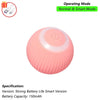 Interactive Automatic Rolling Cat Ball Toy